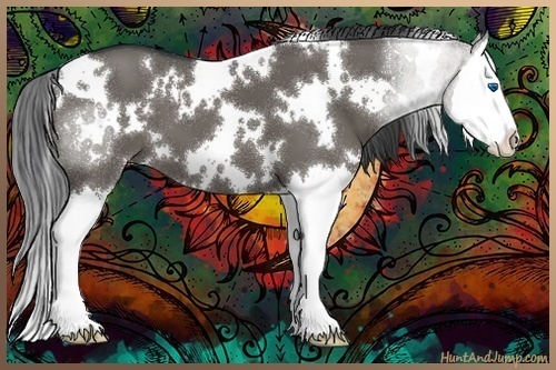 Horse Color:White Spotted Grullo Sabino Splash 