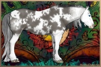 Horse Color:White Spotted Grullo Sabino Splash