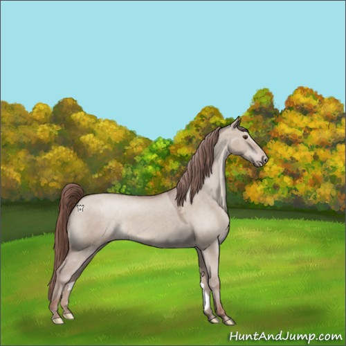 Horse Color:Classic Champagne Dun Varnish