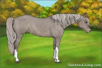 Horse Color:Silver Grullo Varnish 