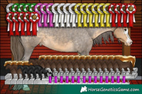 Horse Color:Buckskin Appaloosa