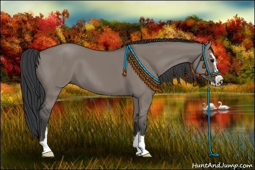 Horse Color:Grullo Sabino 