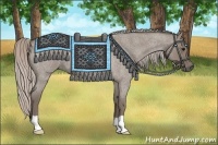 Horse Color:Silver Grullo Roan 