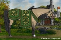 Horse Color:Brown Dun 