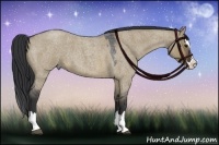 Horse Color:Brown Roan Dun Splash 
