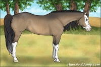 Horse Color:Brown Dun Splash Brindle