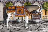 Horse Color:Brown Dun Splash 