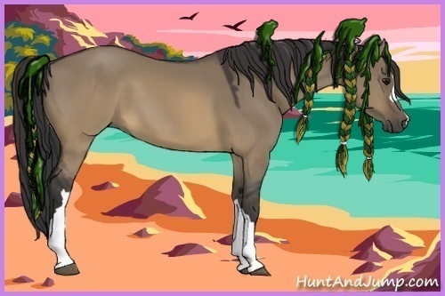 Horse Color:Buckskin Dun