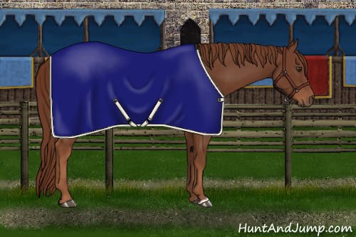 Horse Color:Chestnut Rabicano 