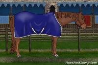 Horse Color:Chestnut Rabicano