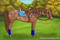 Horse Color:Chestnut Ice 