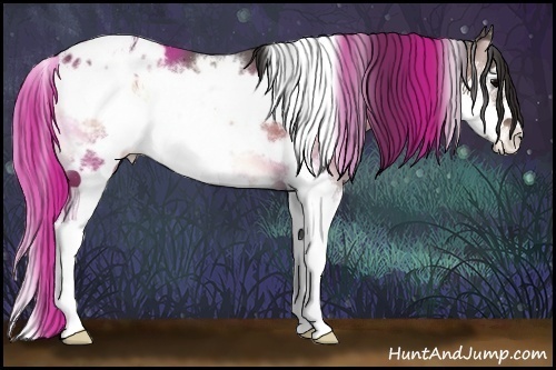 Horse Color:White Spotted Bay Onyx Splash Frame Varnish
