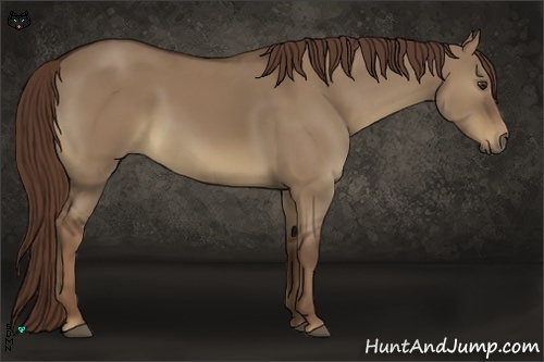 Horse Color:Liver Red Dun 
