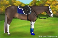 Horse Color:Liver Chestnut Splash 