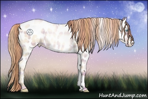 Horse Color:Plaid  Sable Cream Champagne Pearl Appaloosa 