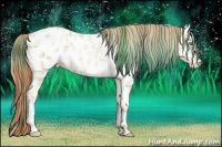 Horse Color:Plaid  Sable Cream Champagne Pearl Appaloosa 