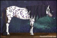 Horse Color:Plaid  Brown Appaloosa 