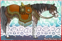 Horse Color:Bay Sabino 