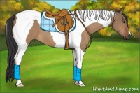 Horse Color:Bay Dun Tobiano 