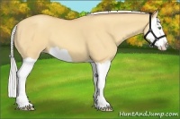 Horse Color:Silver Amber Champagne Dun Splash 