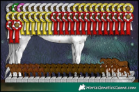 Horse Color:Brown Sabino