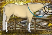 Horse Color:Silver Buckskin Dun 