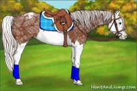 Horse Color:Silver Bay Ice Splash Varnish Rabicano 