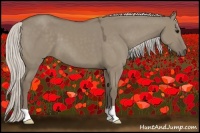 Horse Color:Silver Smoky Grullo