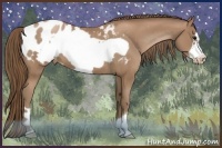 Horse Color:Black Pearl Frame Appaloosa 
