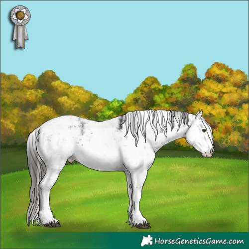 Horse Color:Liver Chestnut Sabino