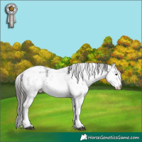 Horse Color:Liver Chestnut Sabino