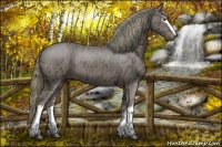 Horse Color:White Spotted Liver Chestnut Ice Rabicano 