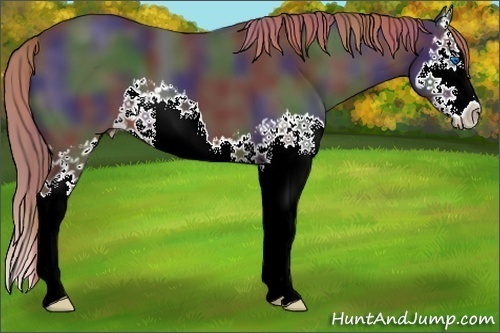 Horse Color:Nacre Liver Chestnut Splash 