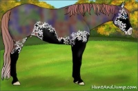 Horse Color:Nacre Liver Chestnut Splash 