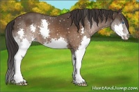 Horse Color:Brown Splash Snowflake Varnish 