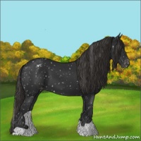 Horse Color:Liver Chestnut Snowflake Varnish 