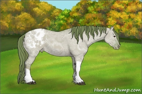 Horse Color:Watercolor Red Dun Ice Appaloosa 