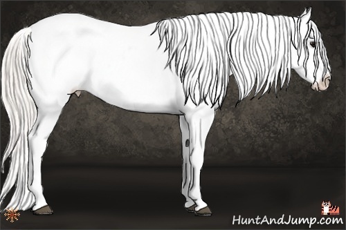 Horse Color:Silver Smoky Black Sabino Tobiano Near Leopard 