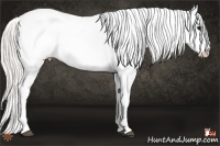 Horse Color:Silver Smoky Black Sabino Tobiano Near Leopard 