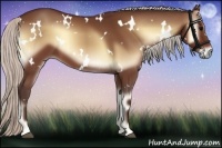 Horse Color:White Spotted Silver Bay Onyx