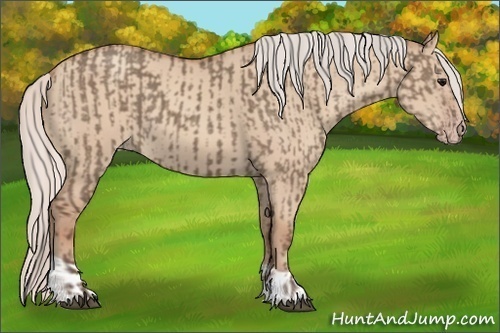 Horse Color:Silver Grullo and Silver Classic Champagne Dun