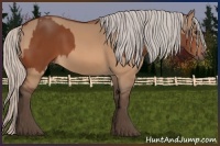 Horse Color:Silver Bay  and Silver Bay Dun 