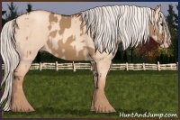 Horse Color:Silver Bay Dun  and Silver Amber Champagne Dun 