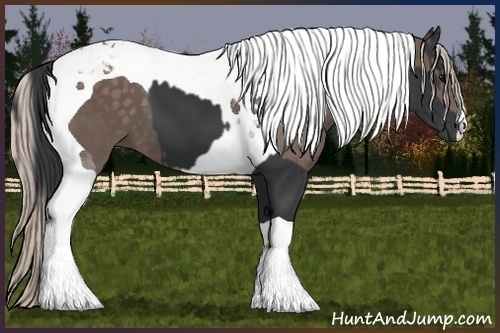 Horse Color:Black Tobiano and Silver Black Tobiano