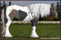 Horse Color:Black Tobiano and Silver Black Tobiano