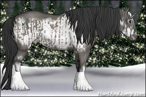 Horse Color:Grullo  and Grullo Roan Frame 