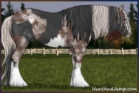 Horse Color:White Spotted Black Rabicano and White Spotted Silver Black Frame Rabicano