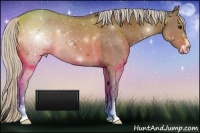 Horse Color:Silver Brown Sabino Rabicano 
