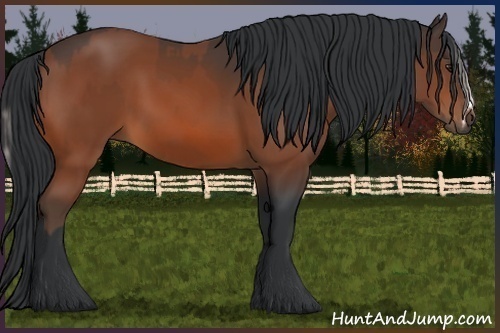 Horse Color:Silver Bay Sabino and Bay Sabino