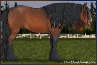 Horse Color:Silver Bay Sabino  and Bay Sabino 